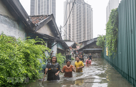 Hàng triệu người sẽ phải đi tị nạn do biến đổi khí hậu